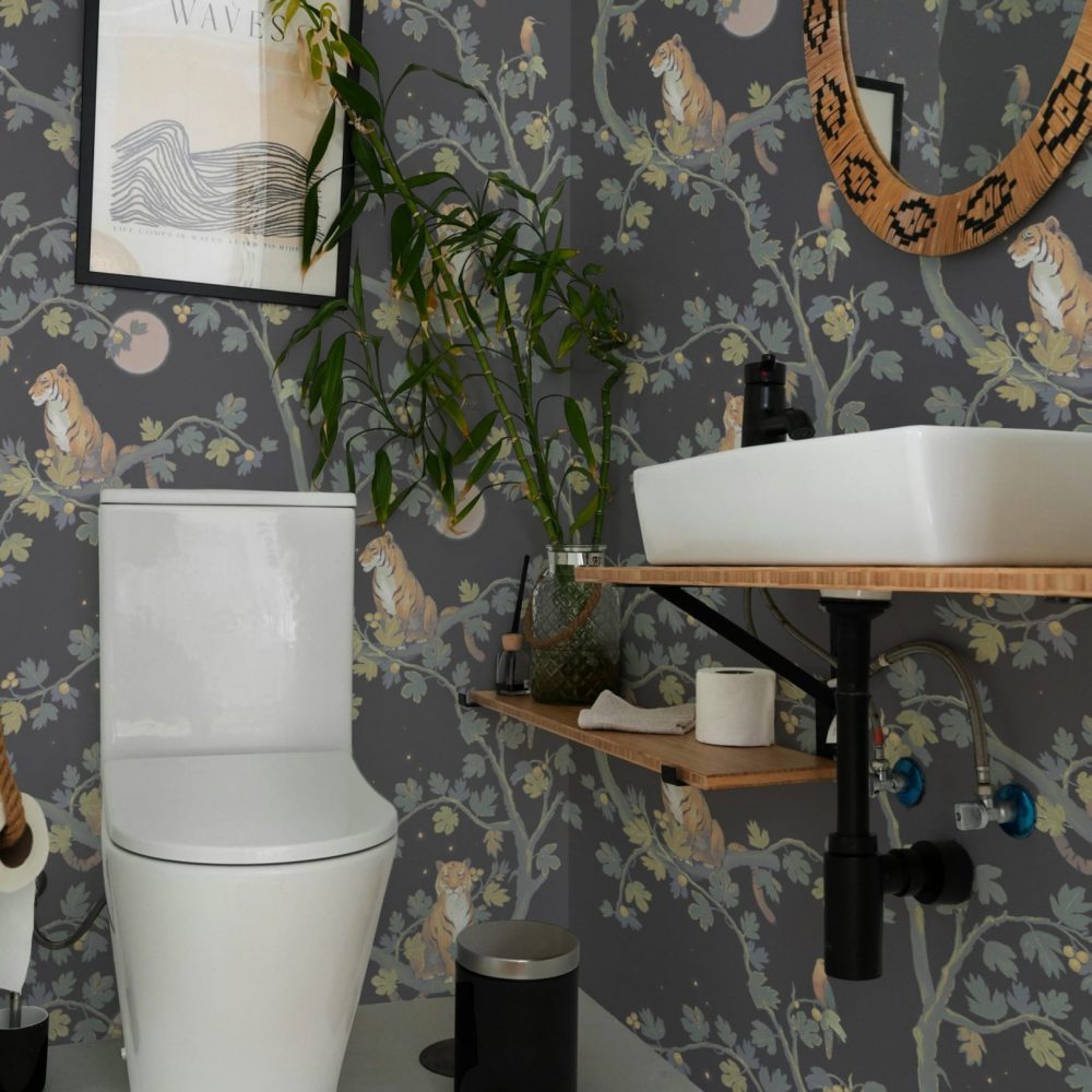 Altissimomare_malaysia_tales_carbone_render3