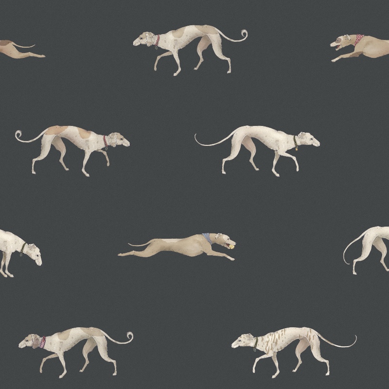 Altissimomare_oscar_muschio