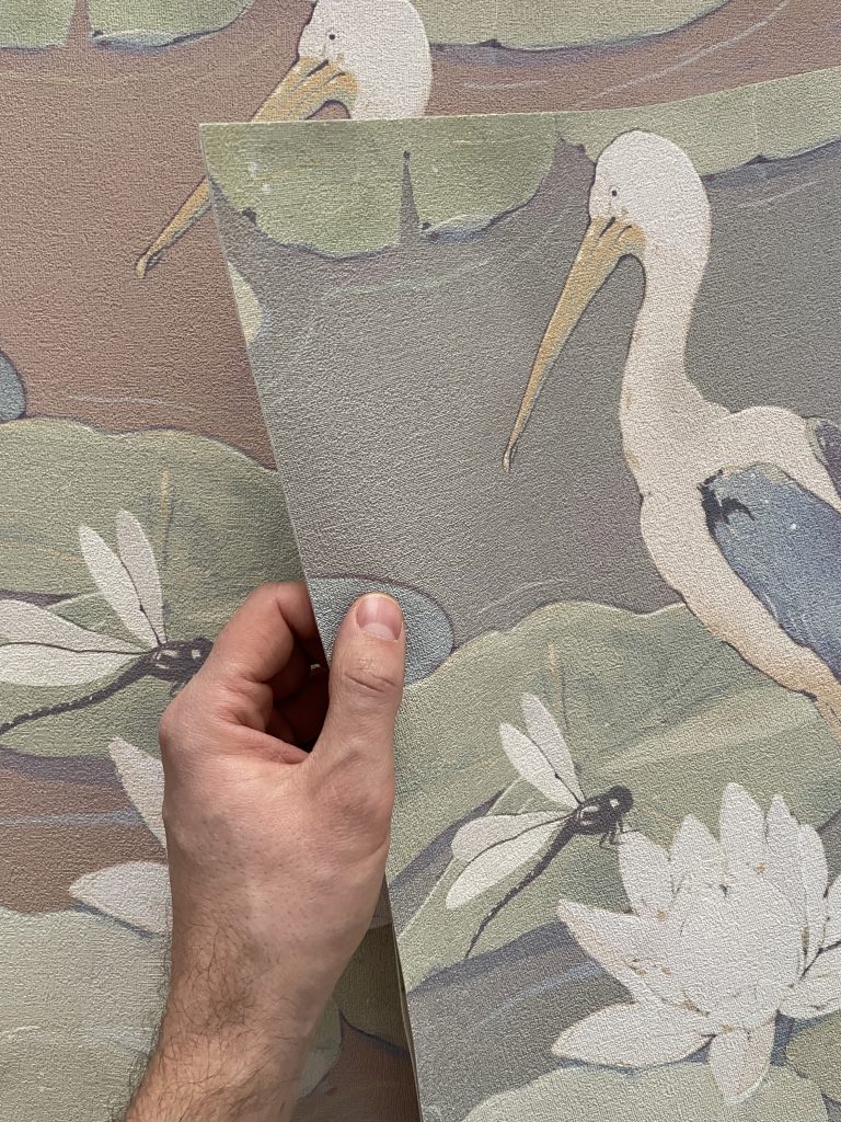 maravelia_altissimomare