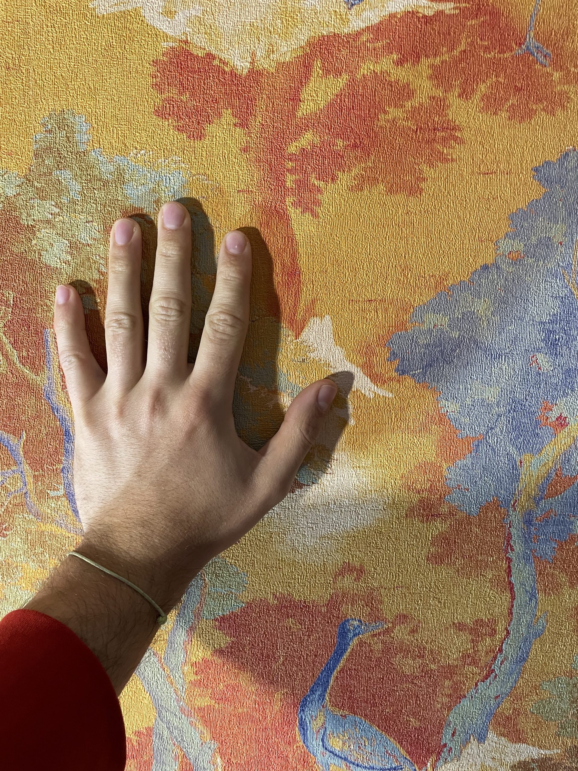 altissimomare casamina