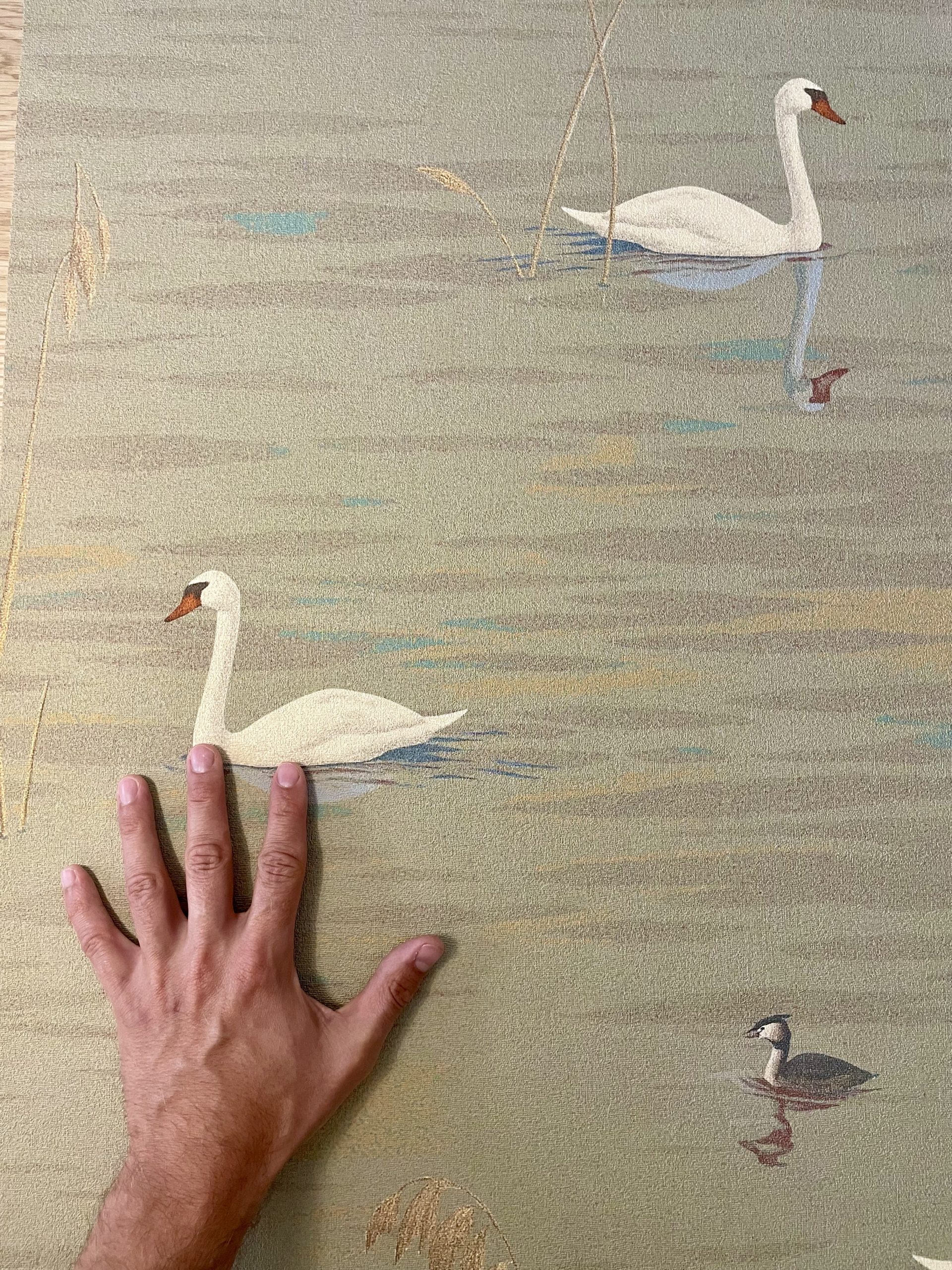 niveo altissimomare_campione