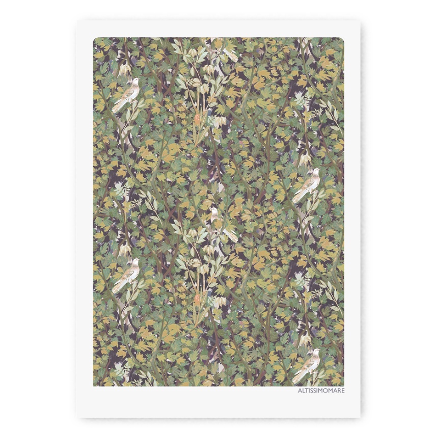 altissimomare_domus_poster