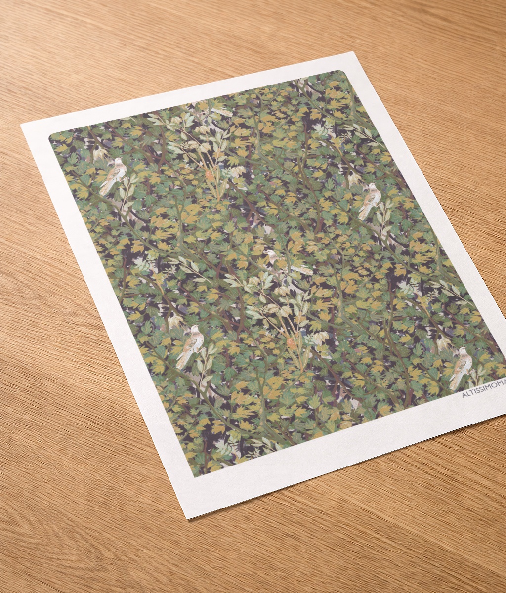 altissimomare_domus_silva_poster altissimomare_domus_silva_poster