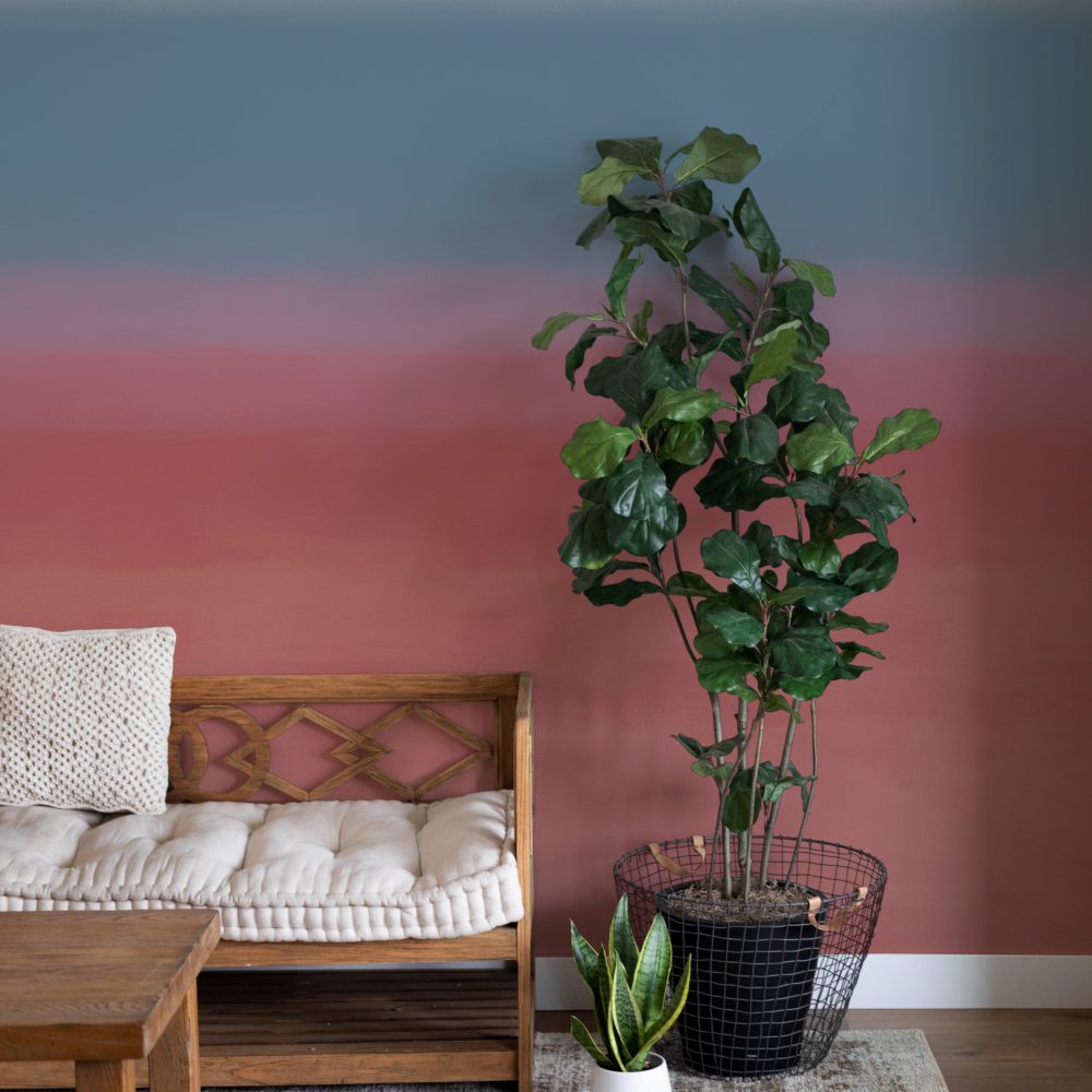 Altissimomare_aurora_ciliegia_render2 Altissimomare_aurora_ciliegia_render2